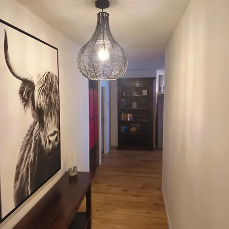 De 90m² Situe Dans Le Vieux-lille.